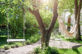 tree swing in garden with hammock