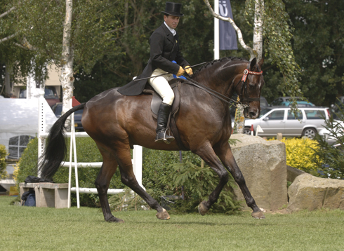 2005.jpg