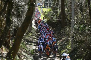 A general view of the peloton competing during the 17th Craywinckelhof Omloop van het Hageland 2022 a 1282km race from Tienen to TieltWinge OmloopHageland on February 27 2022 in TieltWinge Belgium Photo by Luc ClaessenGetty Images
