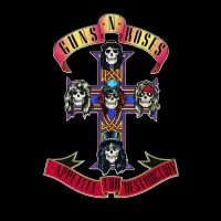 Appetite For Destruction Deluxe Edition