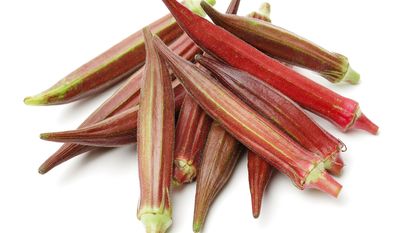 red okra isolated on white background 