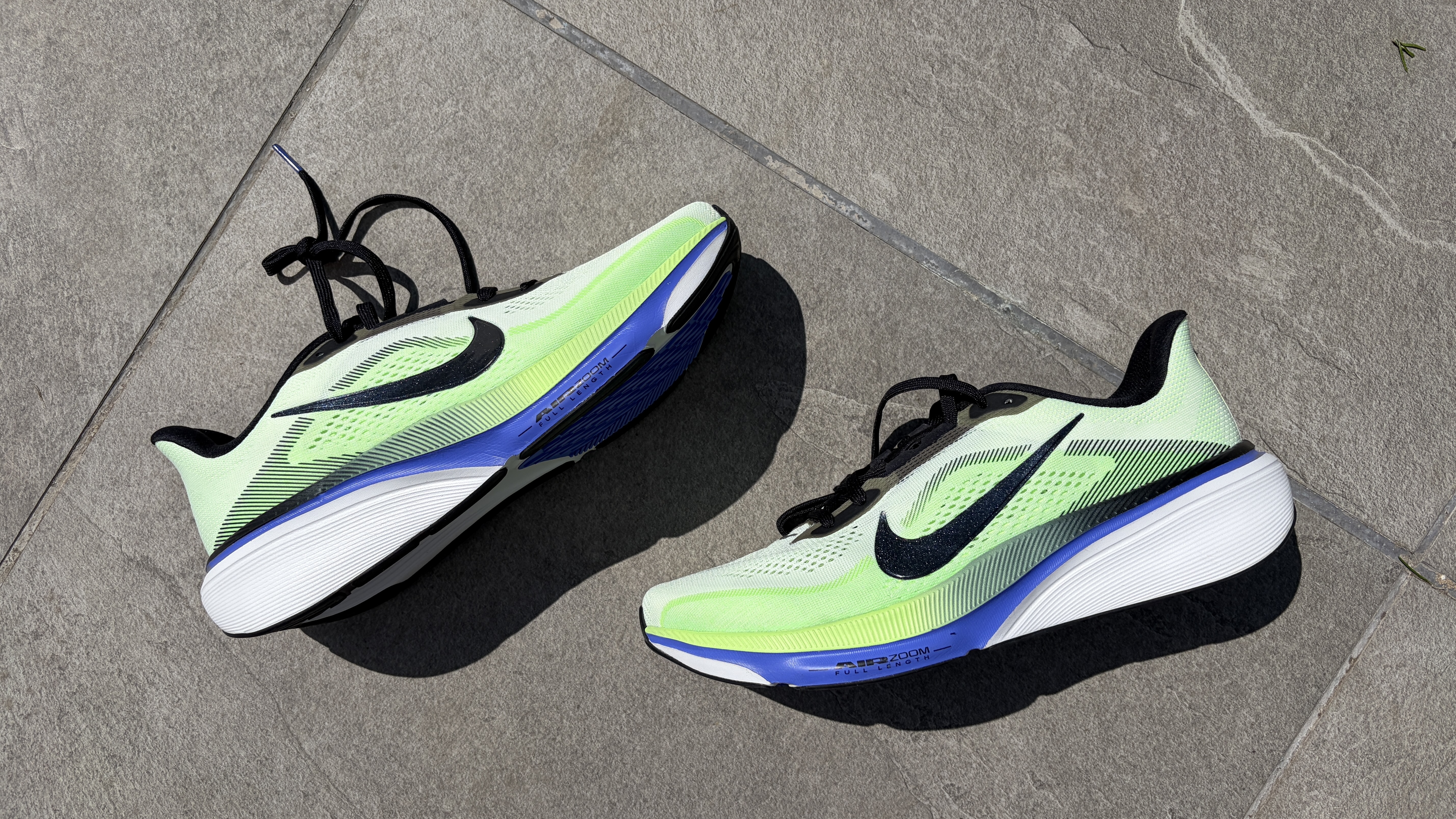 Nike Pegasus 42