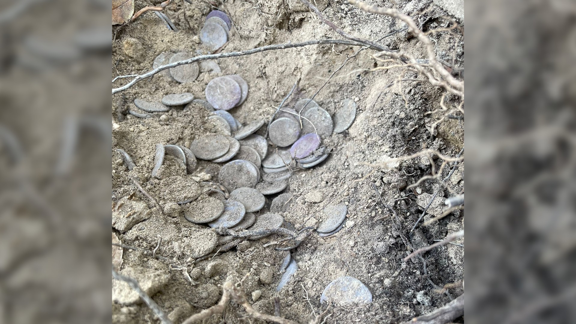 Hier sehen wir mehr als 30 runde Silbermünzen, die halb im Dreck vergraben sind.