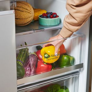 kitchen fridge with veggies and storage