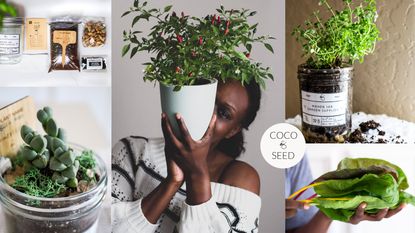 Tishana Richards surrounded by Coco &amp; Seed products