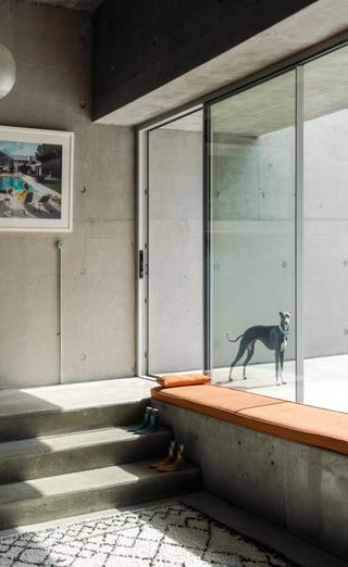 Floor to ceiling windows with a dog looking in
