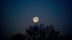 Full Moon October 2023 