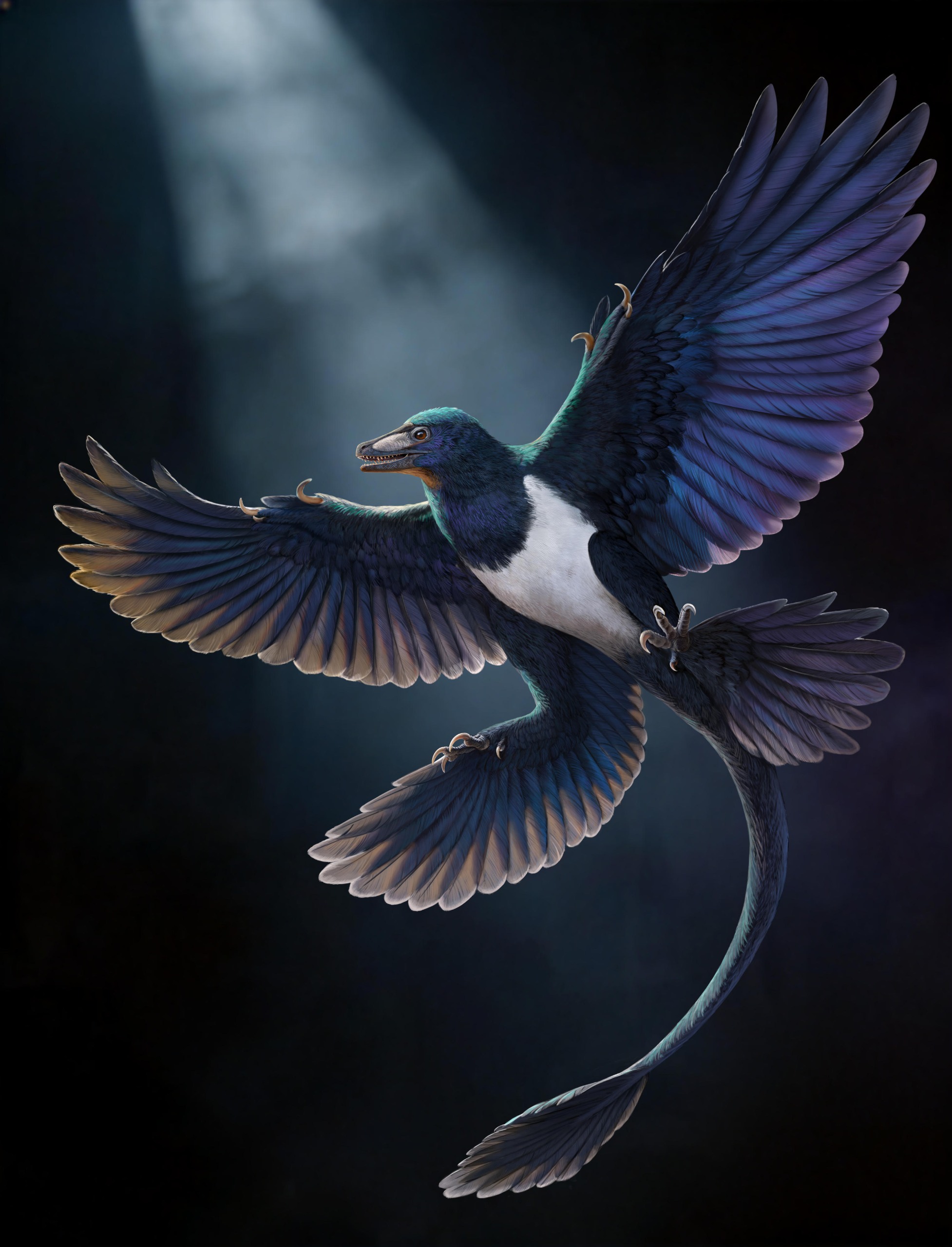 An illustration of a large, four-winged dinosaur against a dark background.