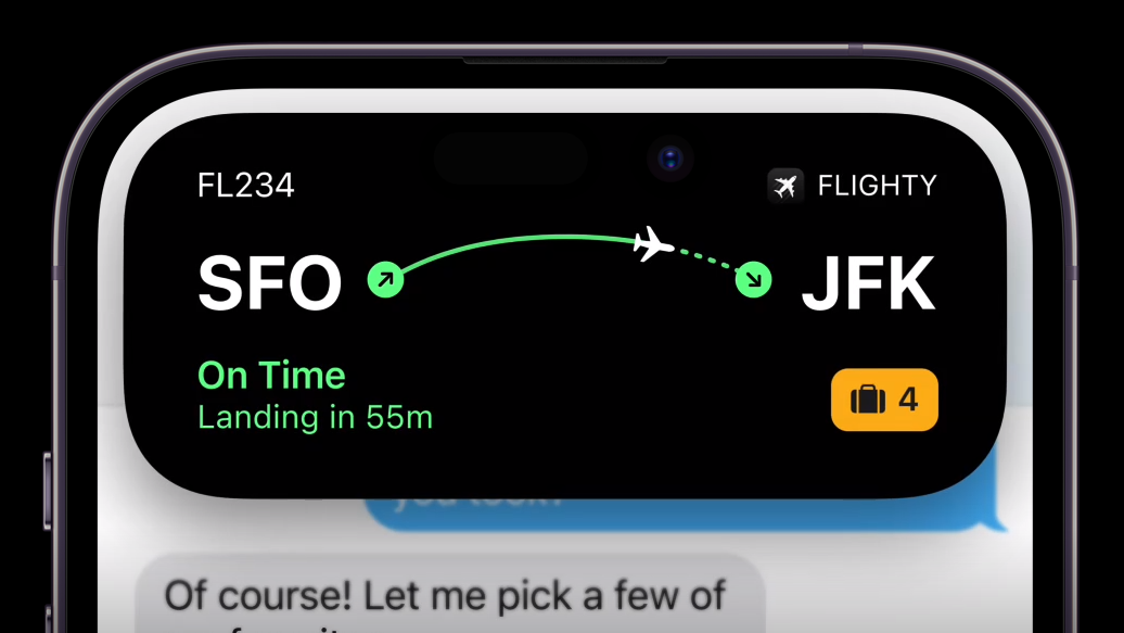 Apple Dynamic Island flight information screenshot