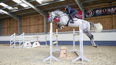 Colmar in action at home at Breen Equestrian at Hickstead.