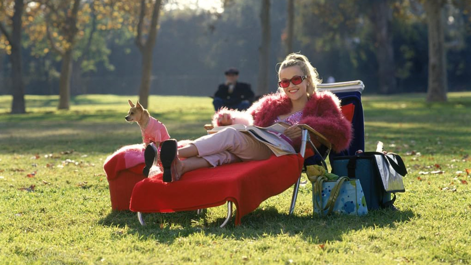 Elle Woods lounges in a chair in Legally Blonde