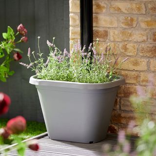grey pot with plant near brick wall