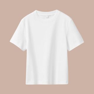 Flat lay image of white t-shirt