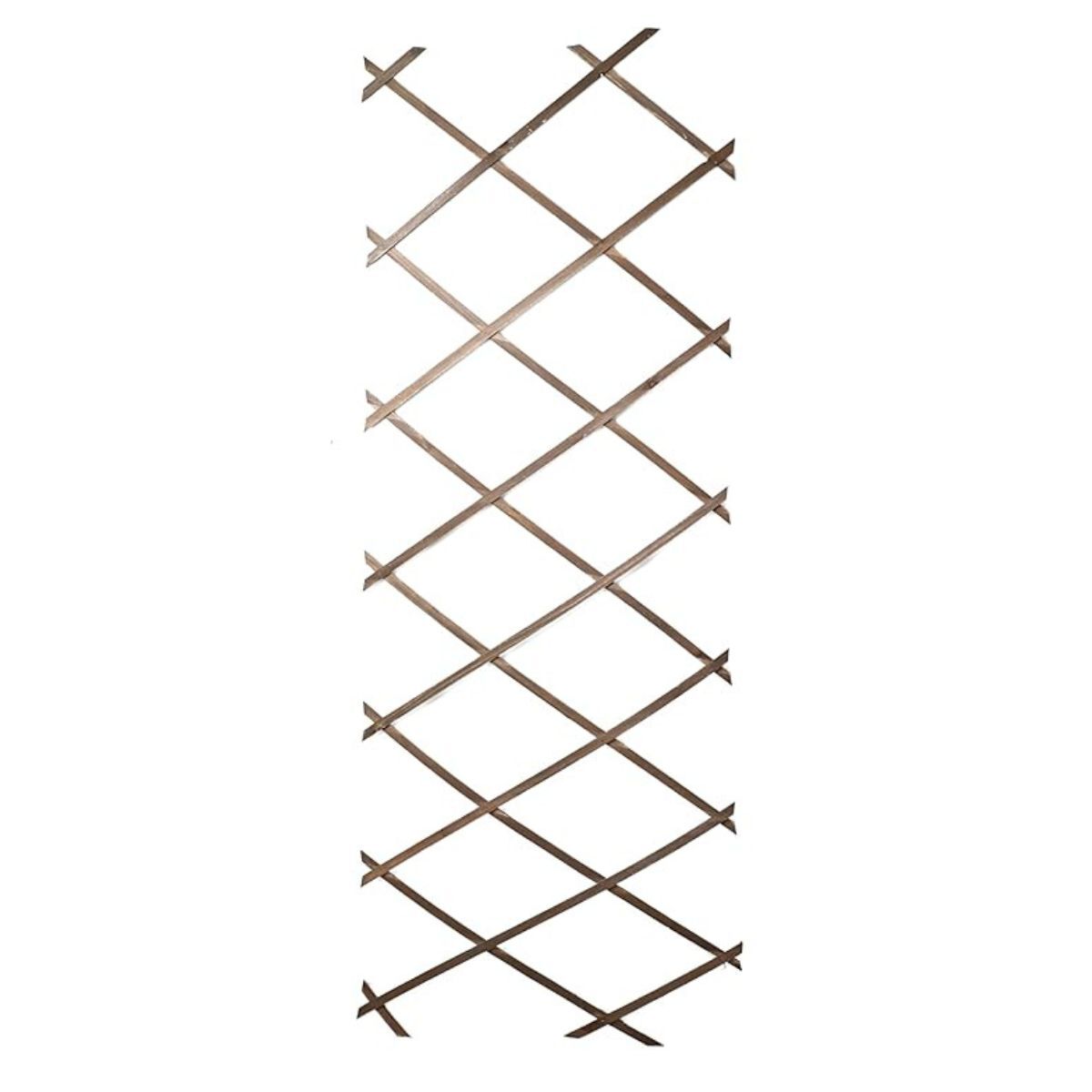 Trellis