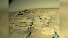 NASA's Perseverance rover captured this shot of its surroundings on the floor of Jezero Crater on Oct. 22, 2021, using one of its navigation cameras. Mission team members posted the image on Twitter three days later.