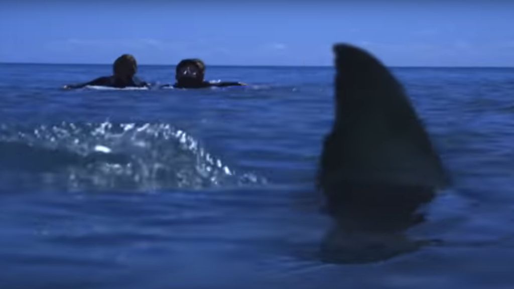 The Best Shark Movies And How To Watch Them Cinemablend