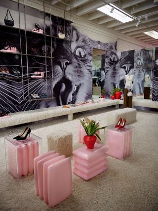 Tory Burch Melrose Store with pink plinths and giant cat images behind display units