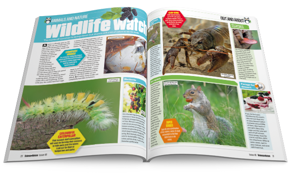 S+N Magazine - Animals and Nature