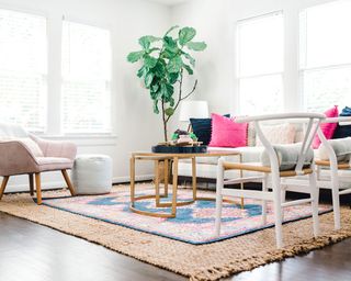 Bright living room with layered rugs on floor, tall potted plant, and pink-pop cushions