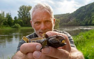 Jeremy Wade's Mighty Rivers - ITV