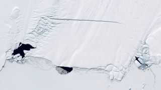 Aerial image of the Pine Island Glacier and the three polynyas—circular areas free of sea ice