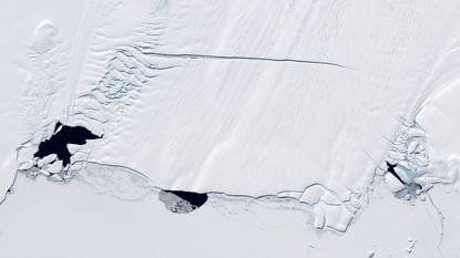 Aerial image of the Pine Island Glacier and the three polynyas&mdash;circular areas free of sea ice