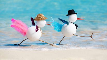 toy snowbirds on a beach in Florida