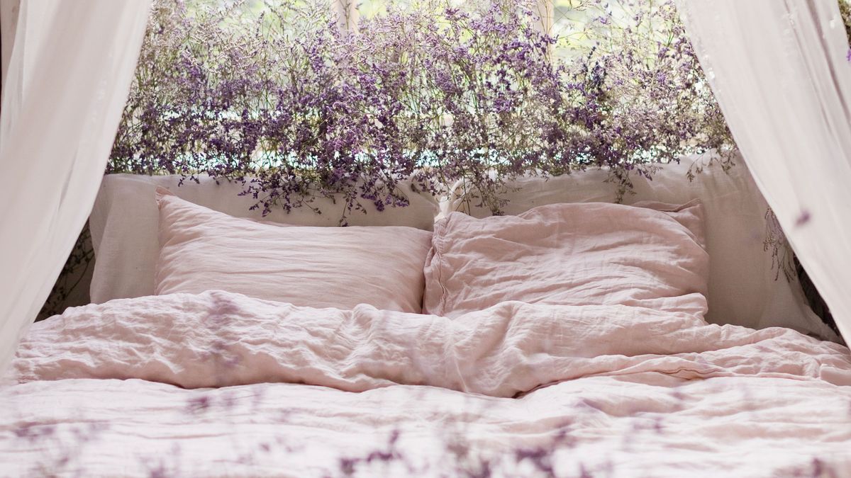 Want Fewer Bites at Night? These 7 Double-Duty Plants Help Keep Pests Out of Your Bedroom and Boost Mood