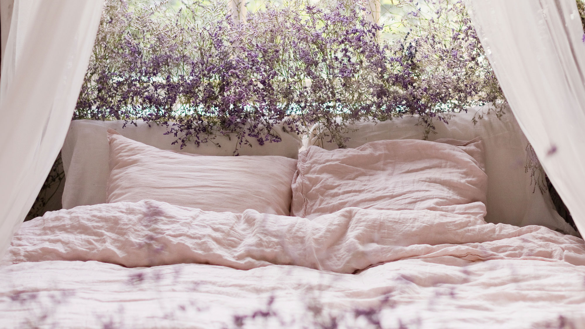 lavender plants at bedroom window behind bed with white pillows and blankets