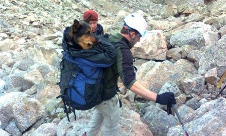 Two people hiking near the top of Mount Bierstadt in Colorado stumbled upon a wounded German Shepherd. The couple used the powers of the internet to get help for the stranded pup.