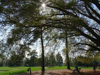 Sunshine finally breaks through late in the afternoon at Augusta.