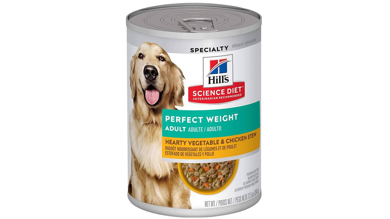 Best diabetic dog food