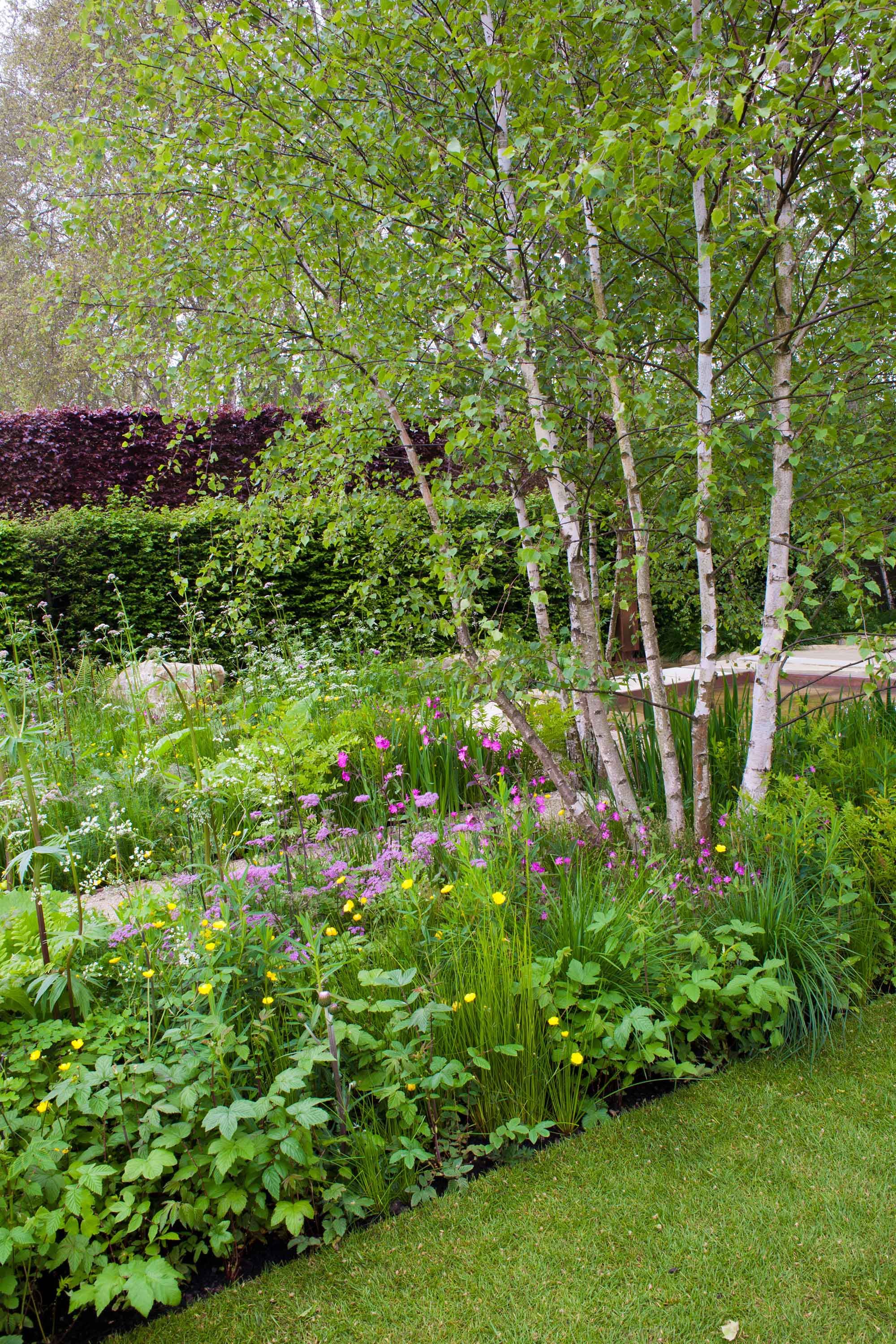 Wildlife garden ideas: 25 ways to transform your plot into a nature ...