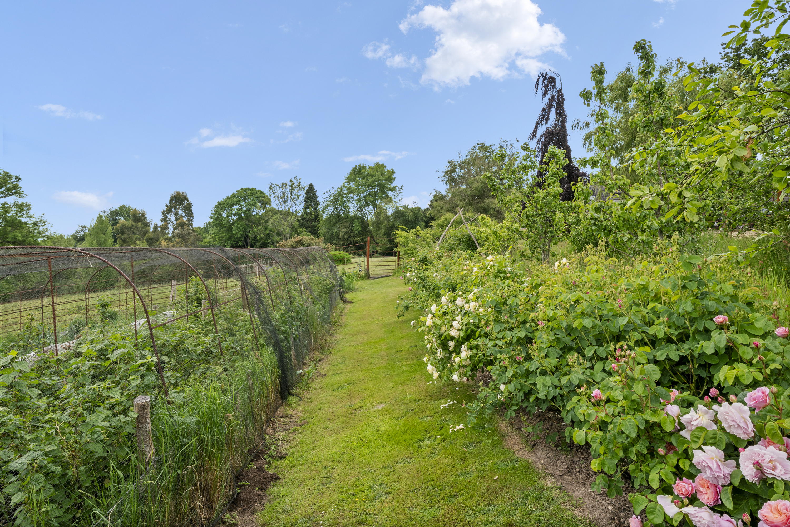 Property for Sale in East Sussex