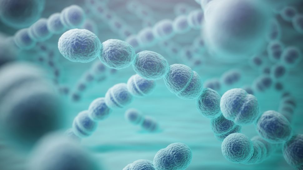 New drugs could stymie superbugs by freezing evolution