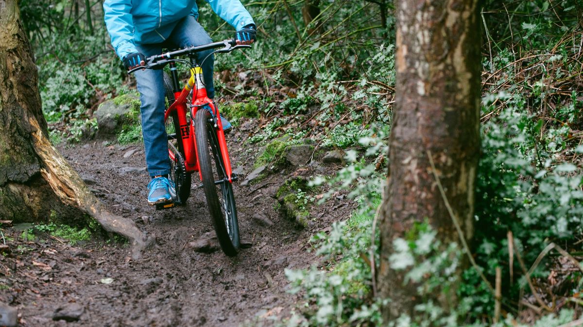 the best kids mountain bikes