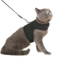 Bingpet Escape-Proof Harness | Amazon