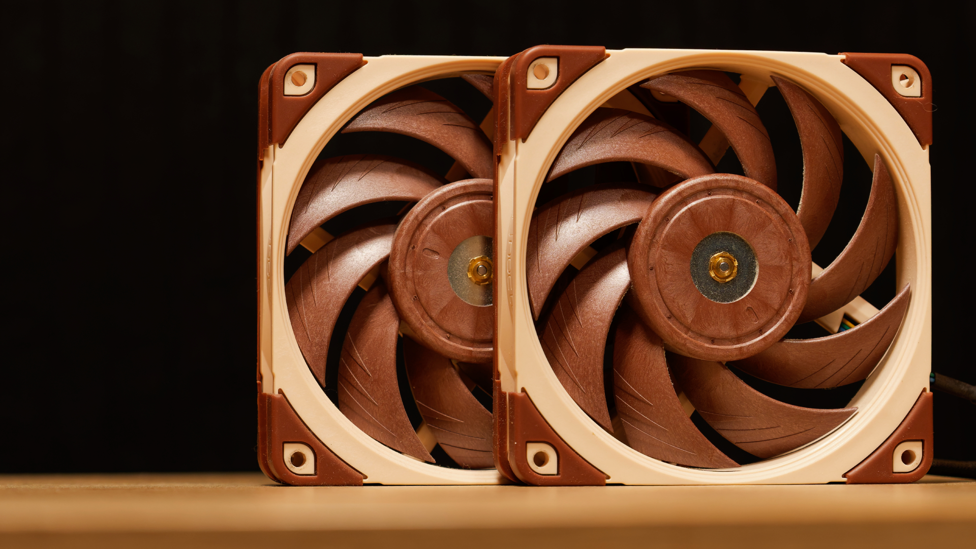 Two fans