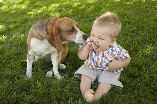 baby with dog.