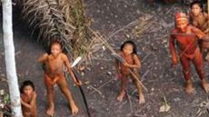 Aerial footage of one of the world’s last uncontacted tribes