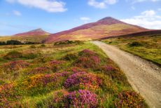 Yr Eifl, Llanaelhaearn, Llyn Peninsula.