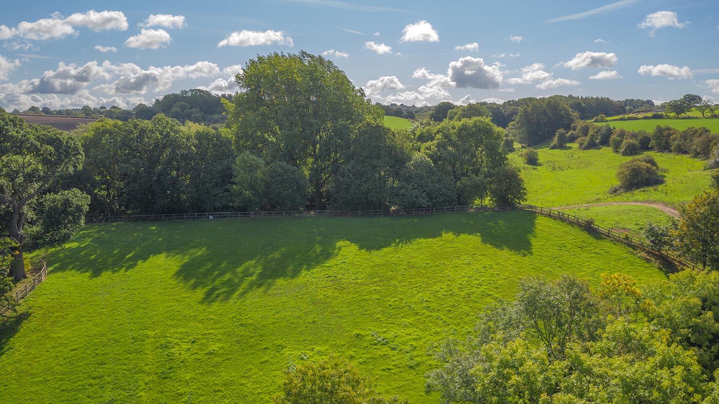 Castle Hill - paddocks