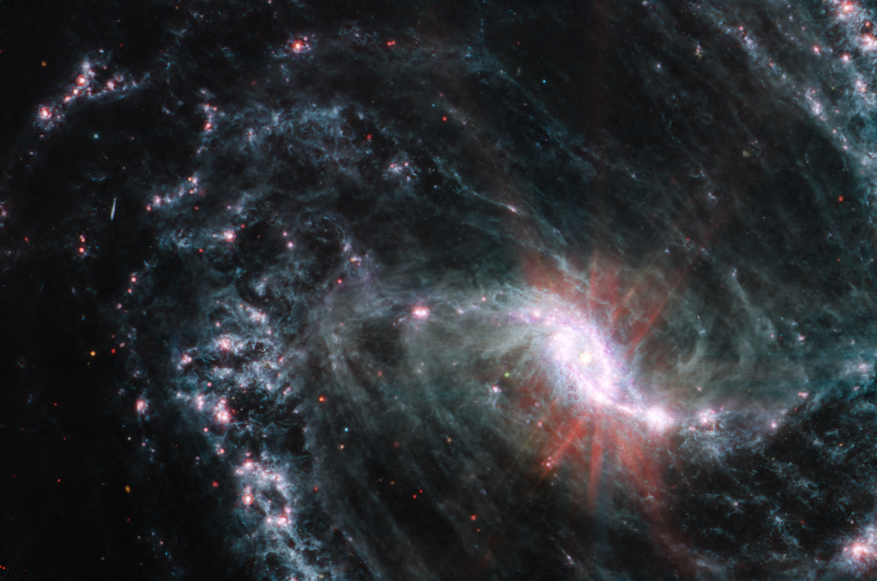 An image of the nearby galaxy NGC 1365