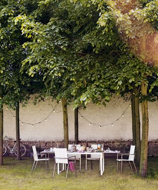 A north-facing garden idea featuring a table and chairs underneath trees.