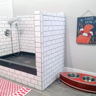 dog mud room with shower