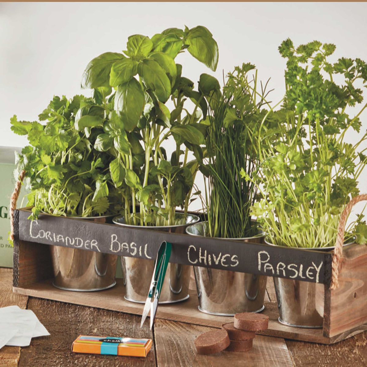 How to grow coriander in pots to add to a kitchen windowsill Ideal Home