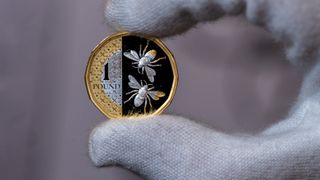 The reverse face of a £1 coin, featuring a design of bees, displayed by the Royal Mint in London