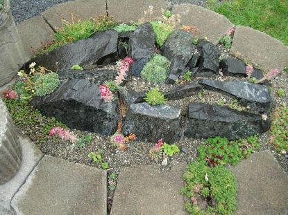 Plants And Flowers In A Rock Garden