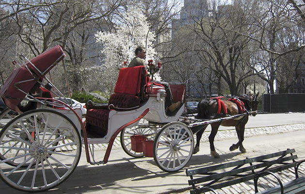 nyc1.jpg