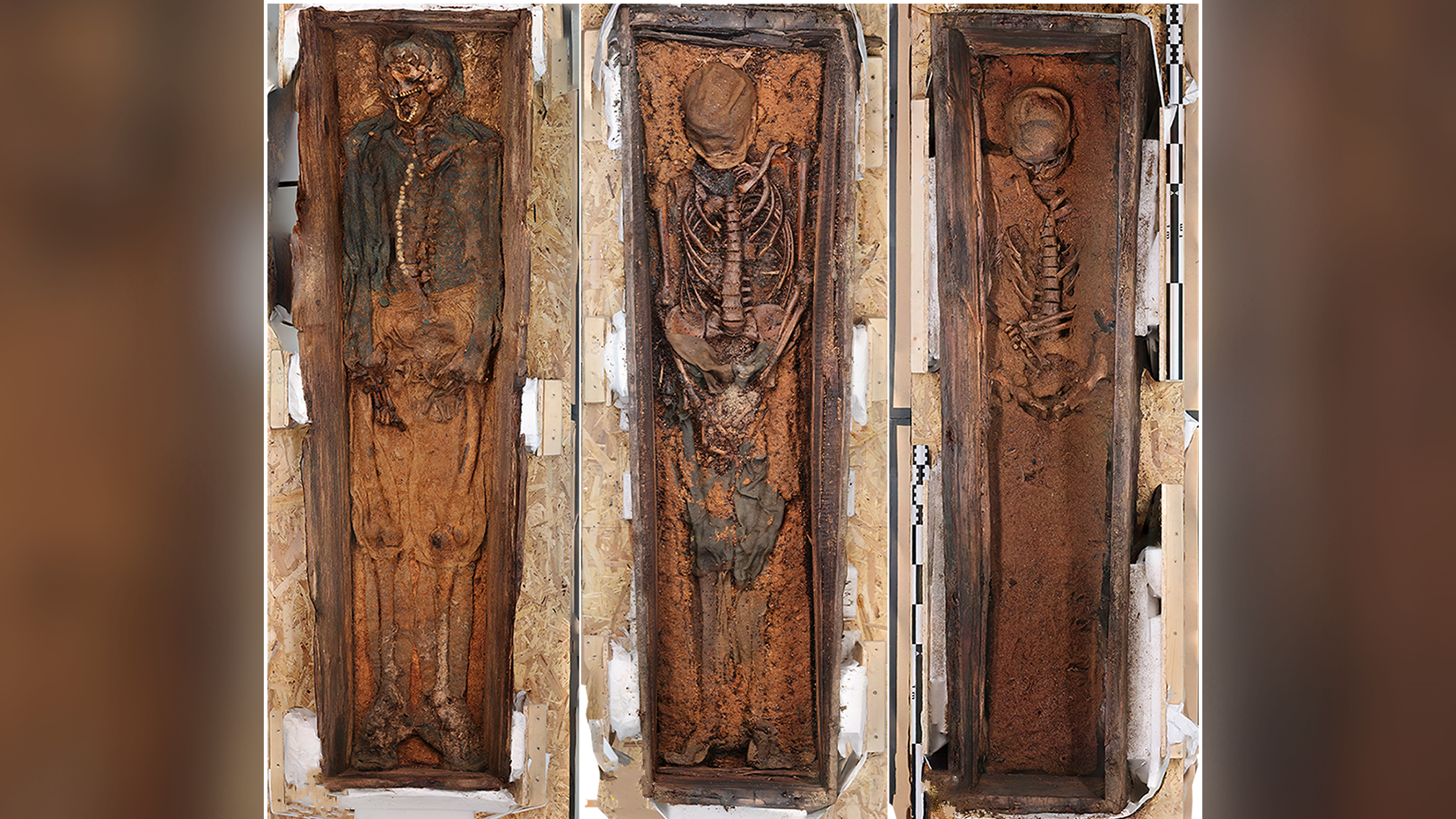 a series of three skeletons in excavated graves